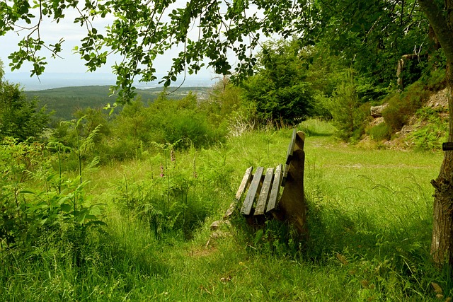 NBA：雄鹿客场大胜76人 字母哥30+12+10