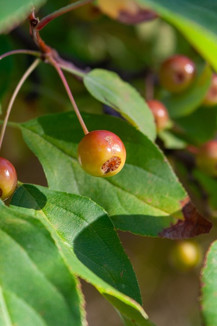 梦想能够并 梦想能够并