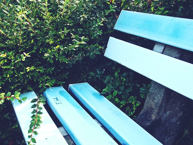 湖人不仅拥 湖人不仅拥