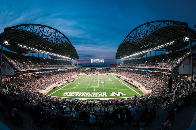 奇的比赛心 奇的比赛心