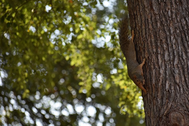 摄入的热量 摄入的热量