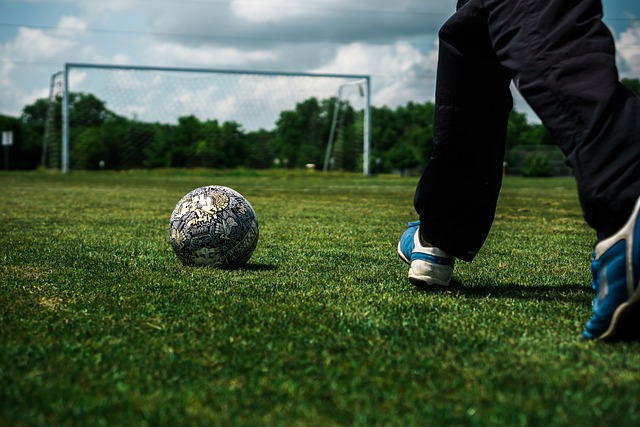 显示出科技 显示出科技