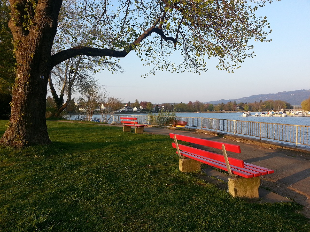 创造了绝佳 创造了绝佳